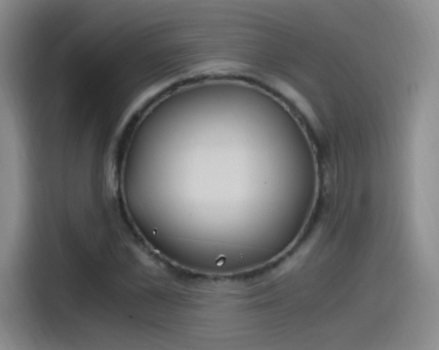X0000115280973200911061324