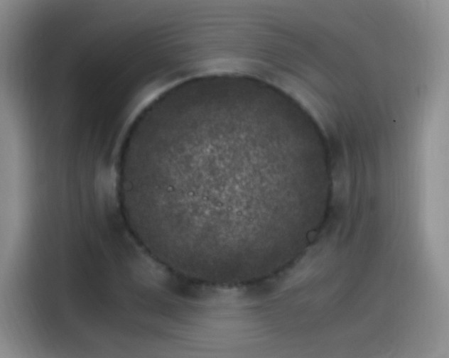 X0000115280975200911061324