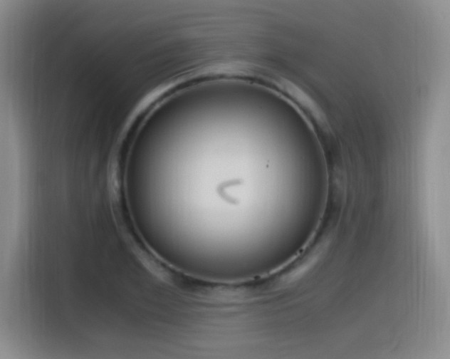 X0000115280981200911061324
