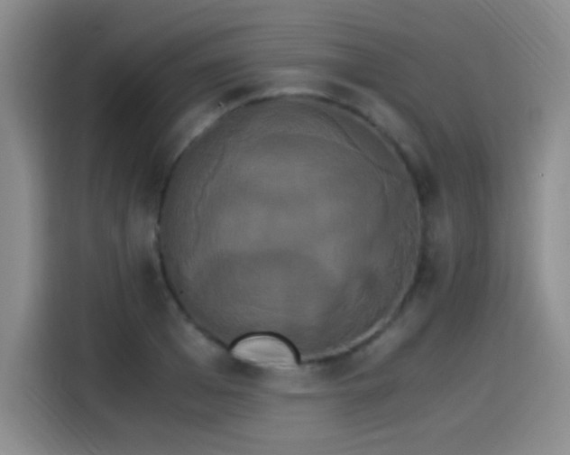 X0000115280985200911061324