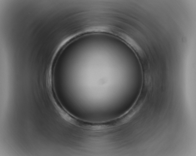 X0000115280988200911061324