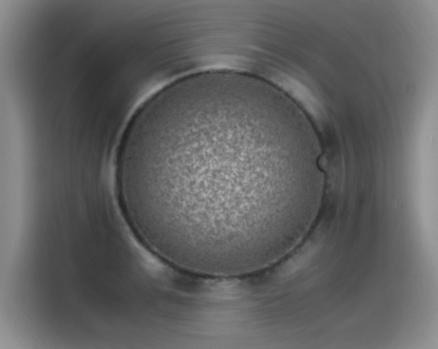 X0000115280991200911061324