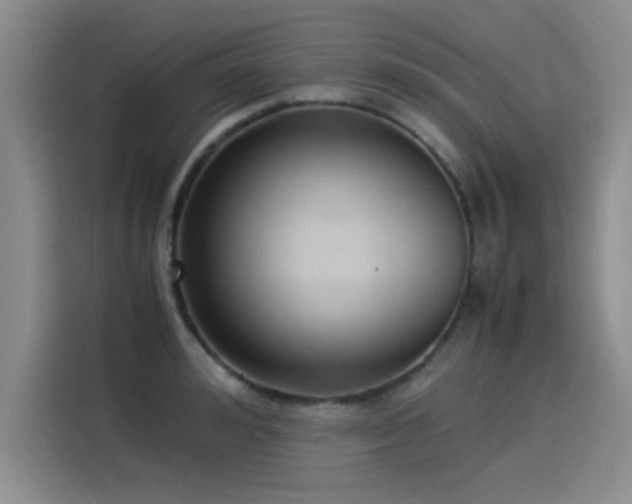 X0000115280992200911061324