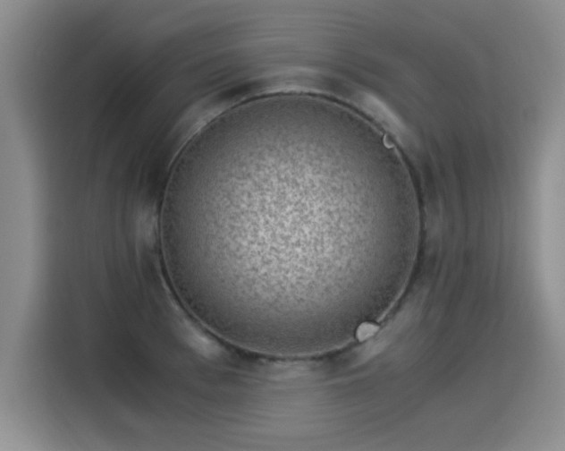 X0000115280993200911061324