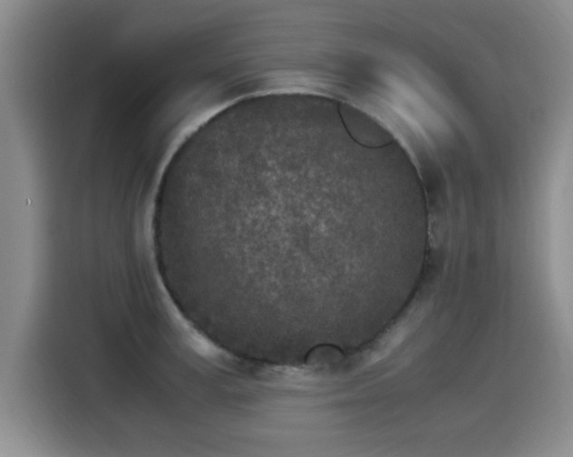 X0000115280995200911061324