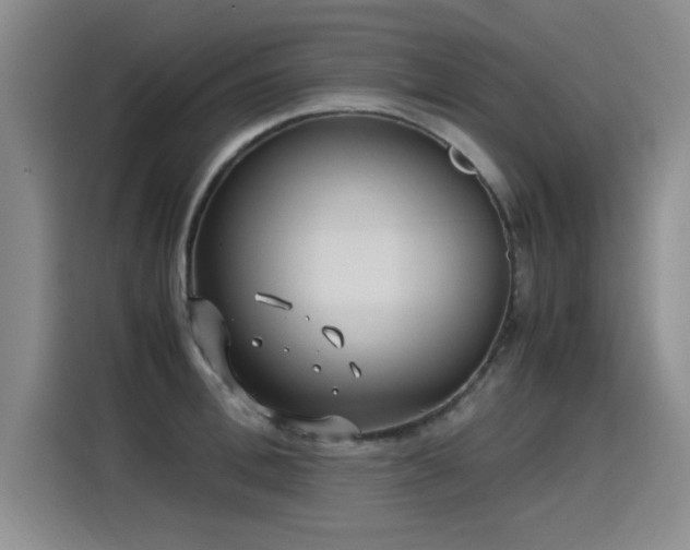 X0000115280996200911061324