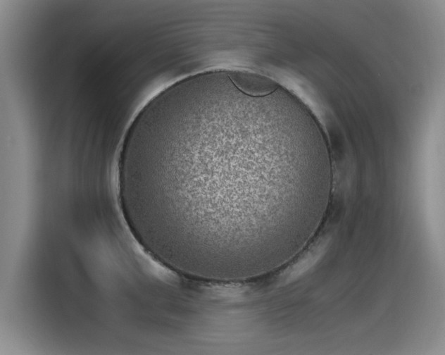 X0000115280999200911061324