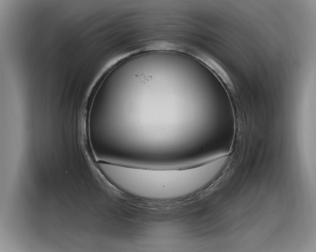 X0000115281000200911061324