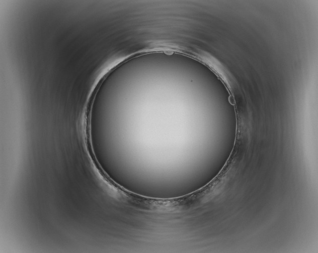 X0000115281003200911061324