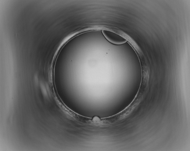 X0000115281004200911061324
