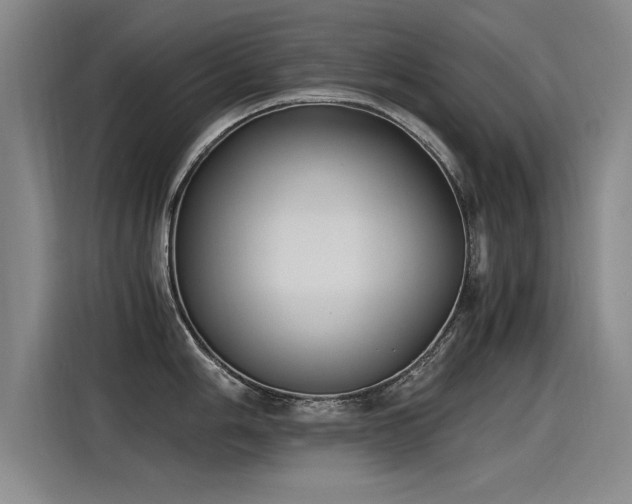 X0000115281006200911061324