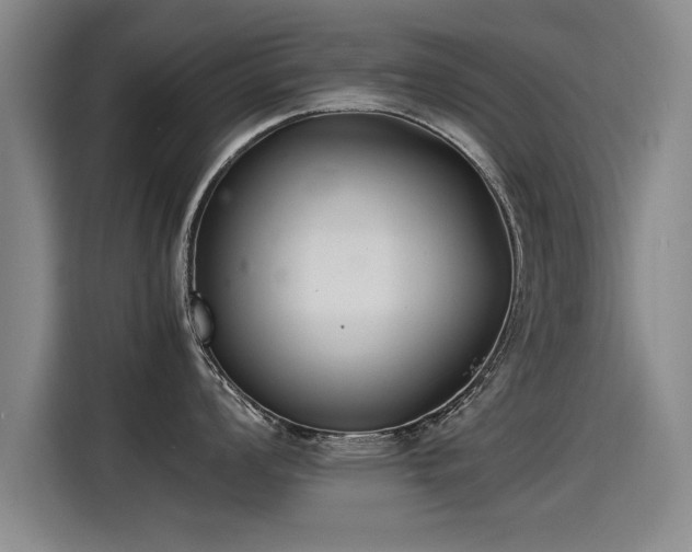 X0000115281008200911061324