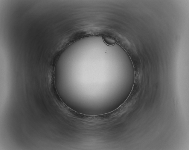 X0000115281012200911061323