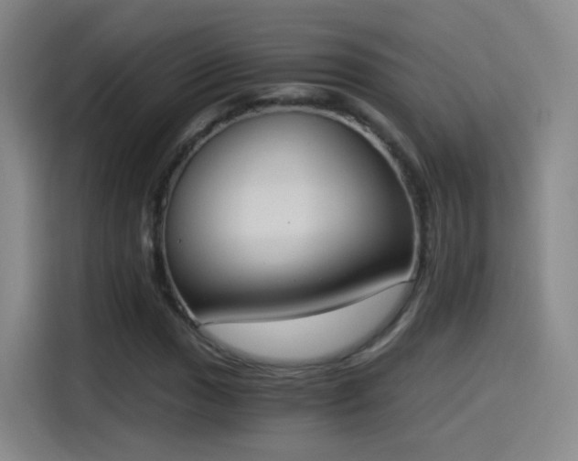 X0000115281017200911061323