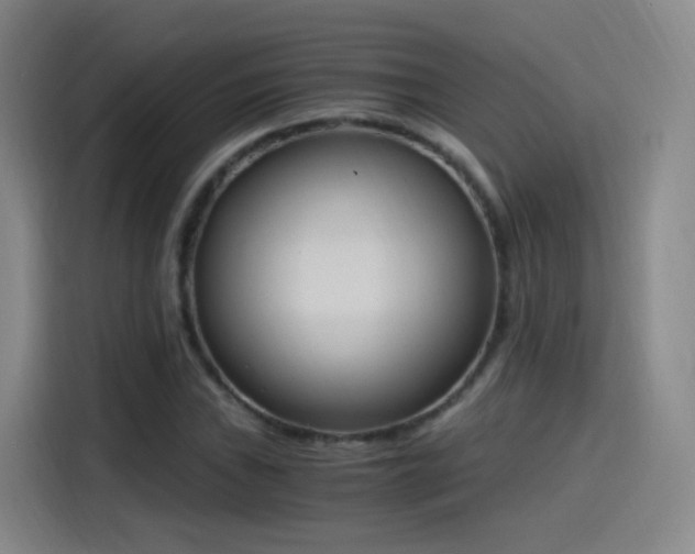 X0000115281019200911061323