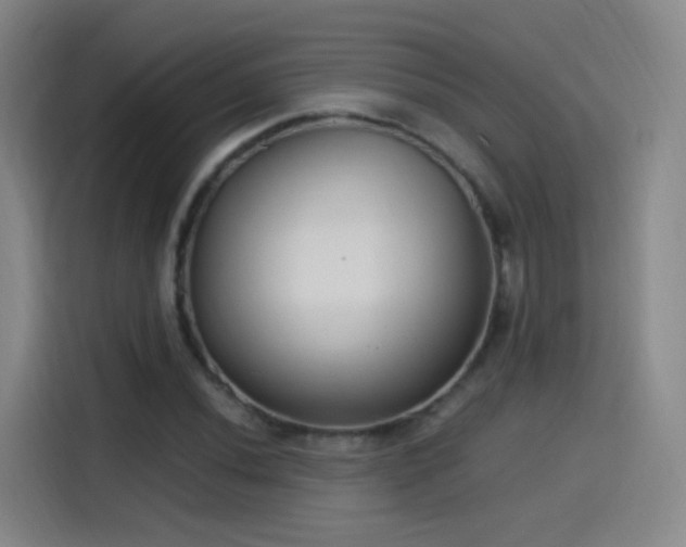 X0000115281020200911061323