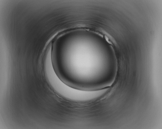 X0000115281023200911061323