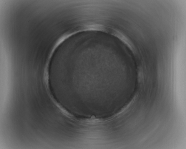 X0000115281024200911061323