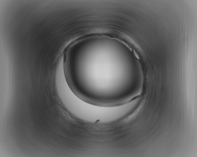 X0000115281025200911061323