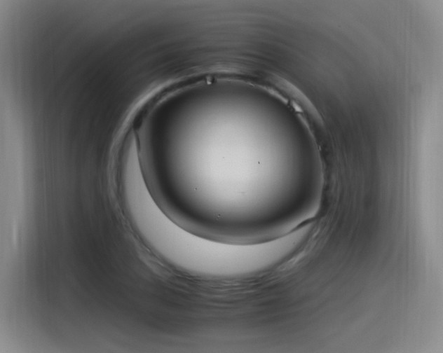 X0000115281027200911061323