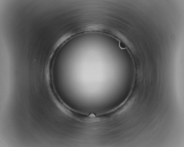 X0000115281034200911061324