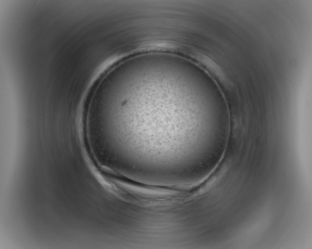 X0000115281038200911061324