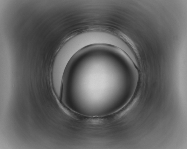 X0000115281041200911061324