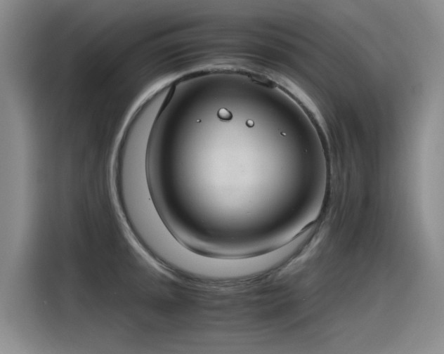 X0000115281045200911061324