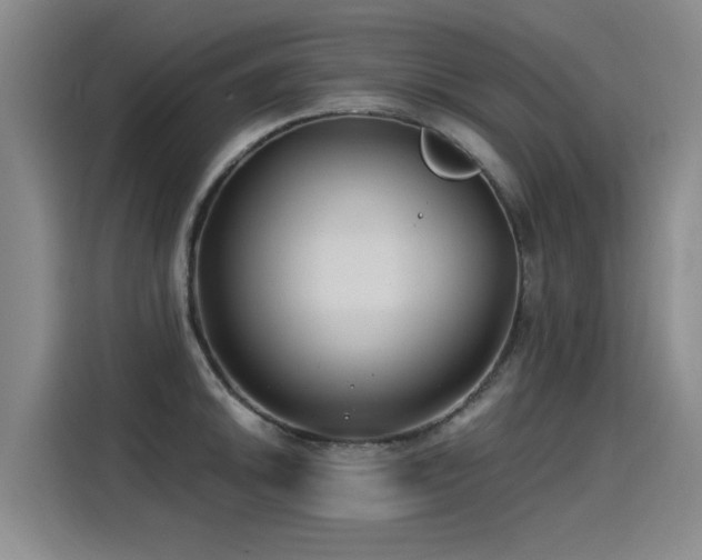 X0000115281046200911061324