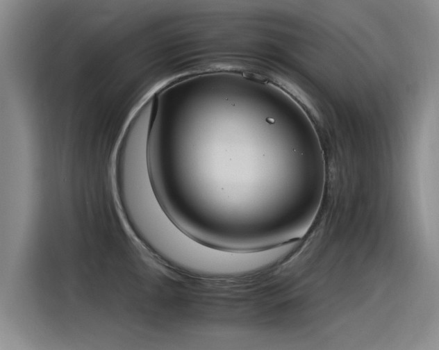 X0000115281047200911061324