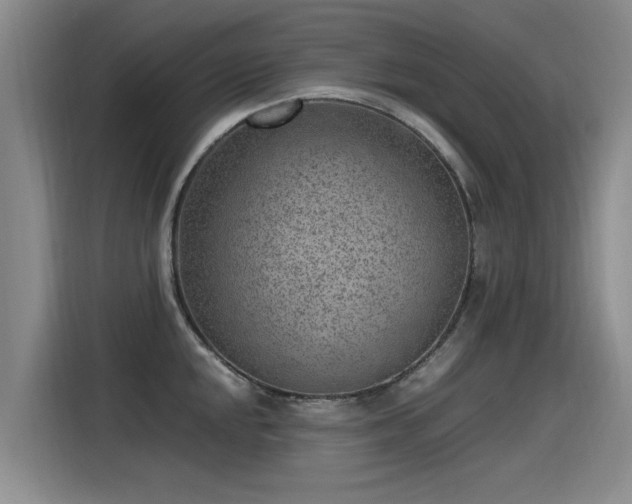 X0000115281048200911061324