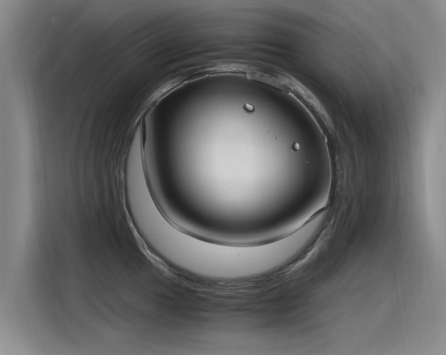 X0000115281049200911061324