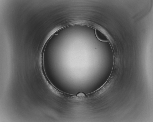 X0000115281050200911061324