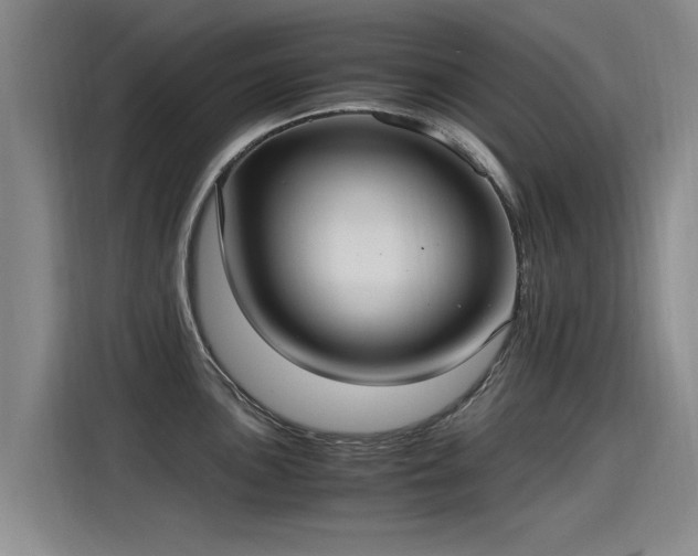 X0000115281051200911061324