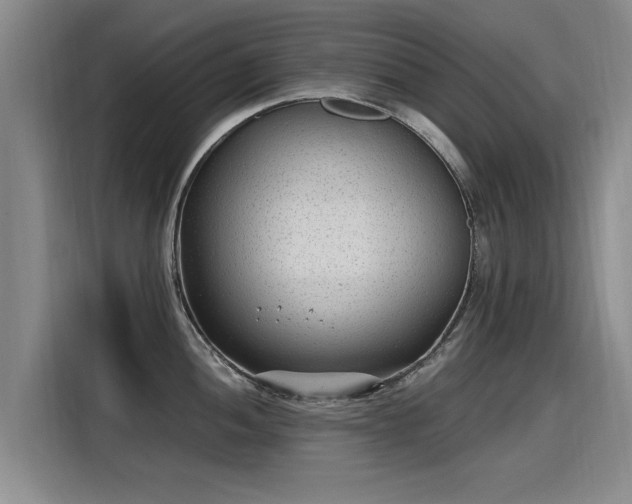 X0000115281052200911061324