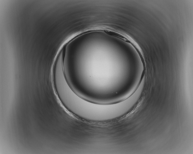 X0000115281053200911061324