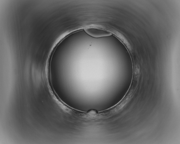 X0000115281054200911061324