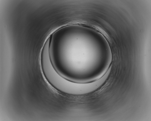 X0000115281055200911061324