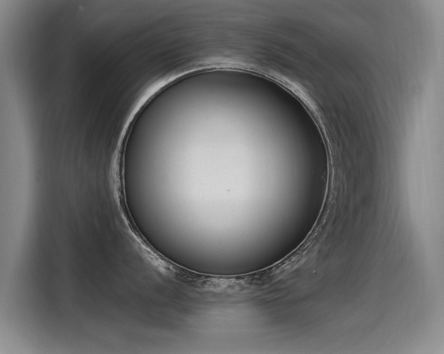 X0000115281056200911061324