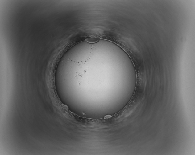 X0000115281057200911061323