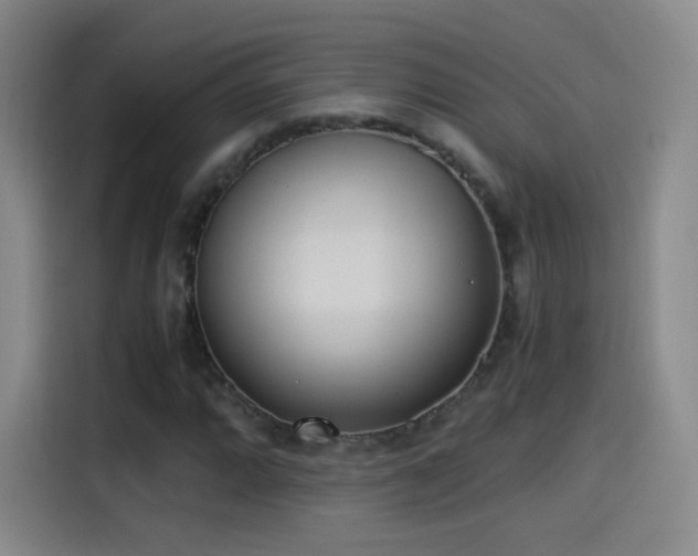 X0000115281064200911061323