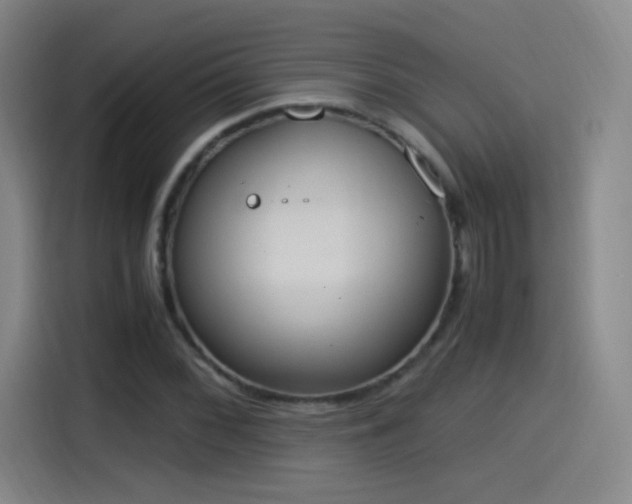 X0000115281068200911061323