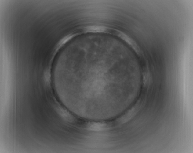 X0000115281074200911061323