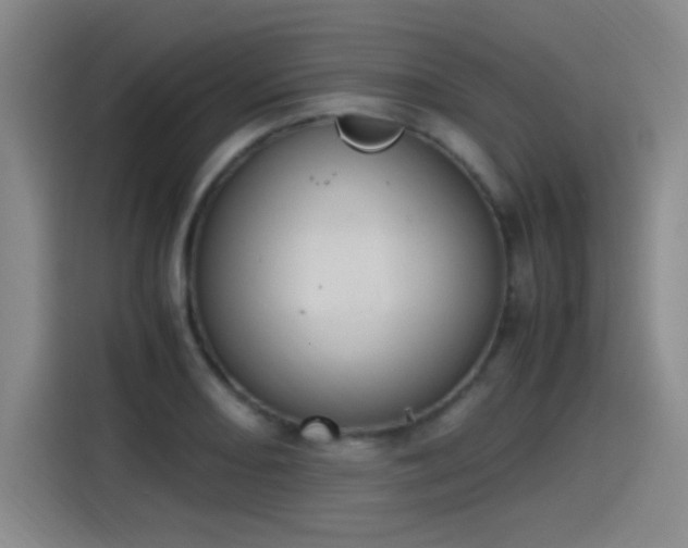 X0000115281082200911061323