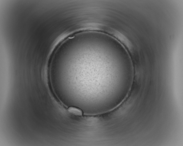 X0000115281085200911061323