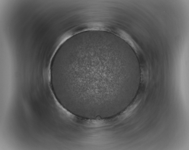 X0000115281095200911061323