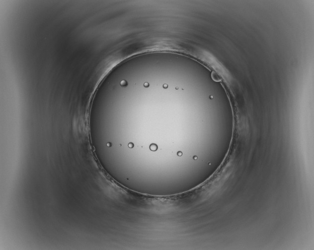 X0000115281097200911061323