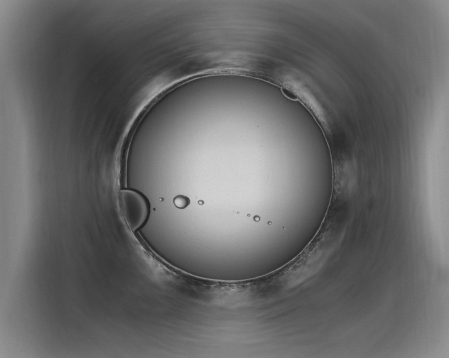 X0000115281099200911061323