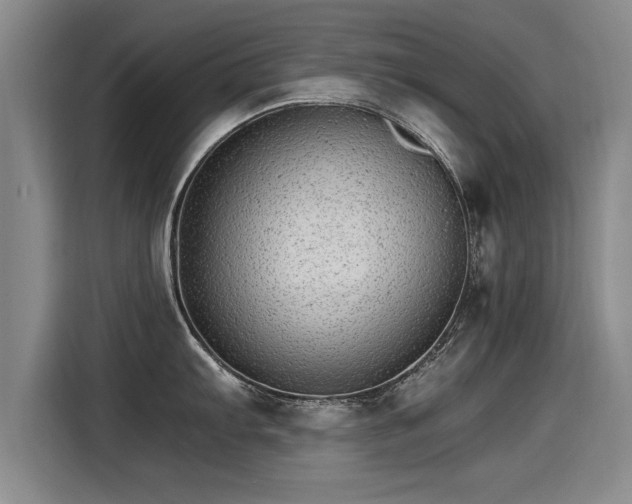 X0000115281103200911061323
