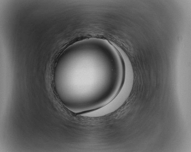 X0000115281105200911061322